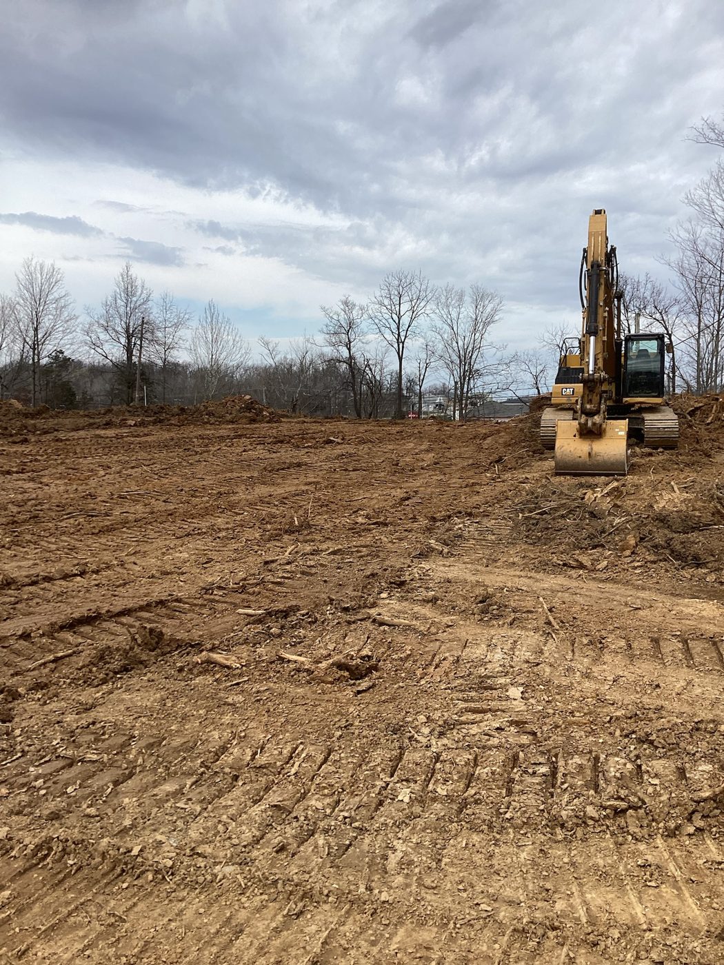 Site cleared to dirt